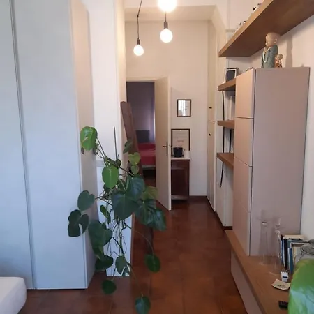 Se018 - Senigallia, Accogliente Bilocale In Zona Residenziale アパート
